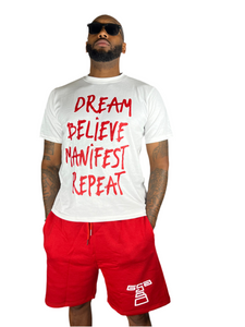 DREAM • BELIEVE • MANIFEST • REPEAT Summer Set